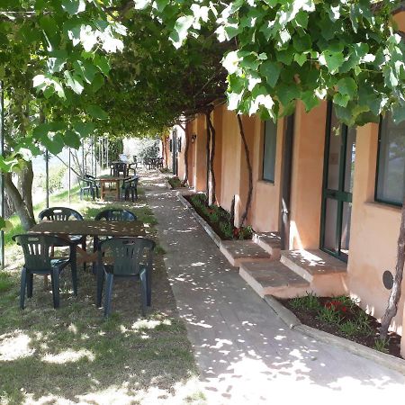 Agriturismo Le Serre Riparbella Esterno foto
