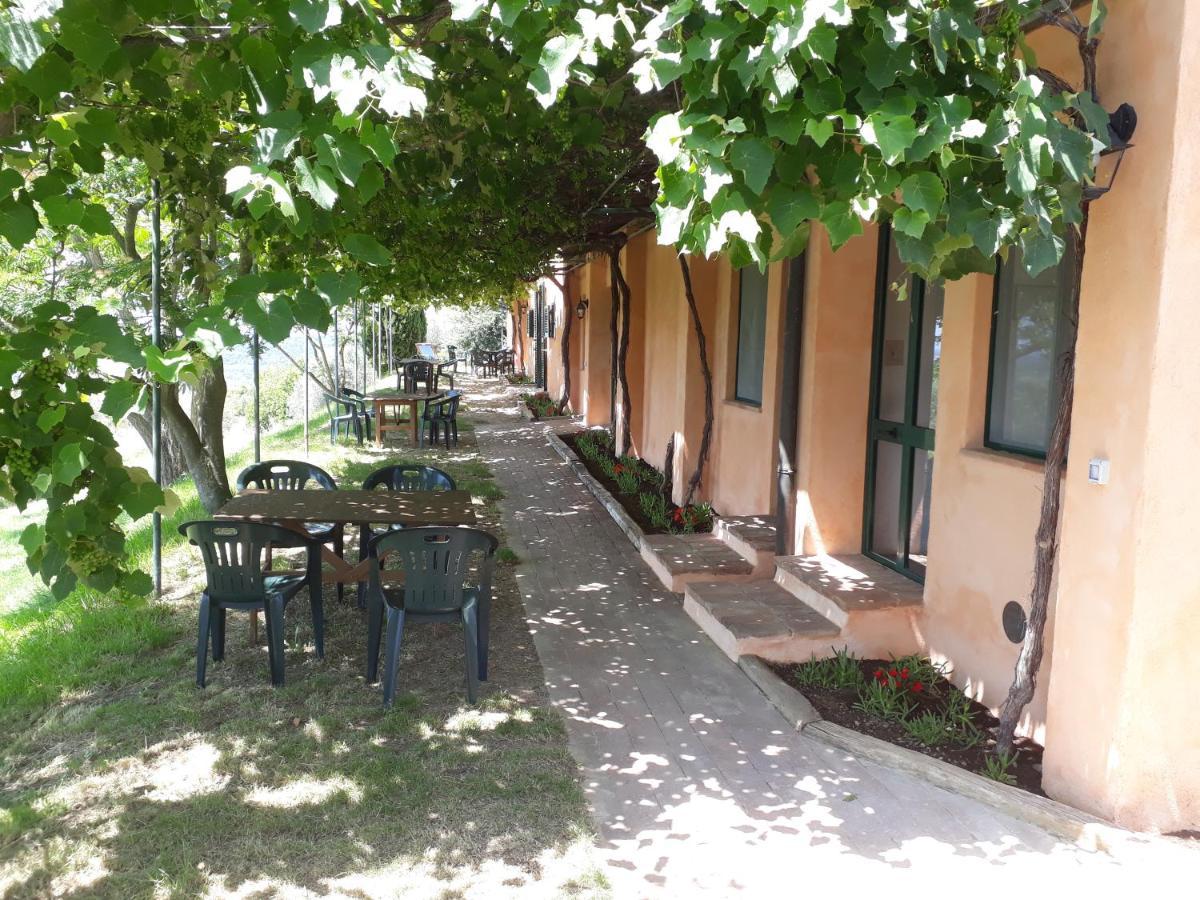 Agriturismo Le Serre Riparbella Esterno foto