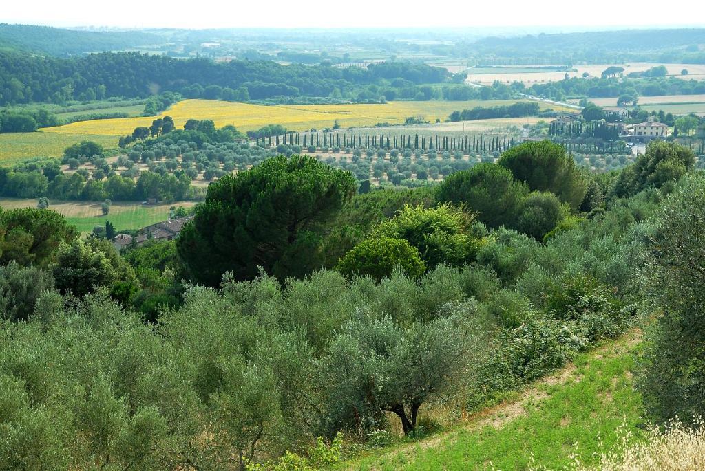 Agriturismo Le Serre Riparbella Esterno foto