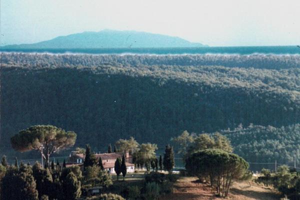 Agriturismo Le Serre Riparbella Esterno foto
