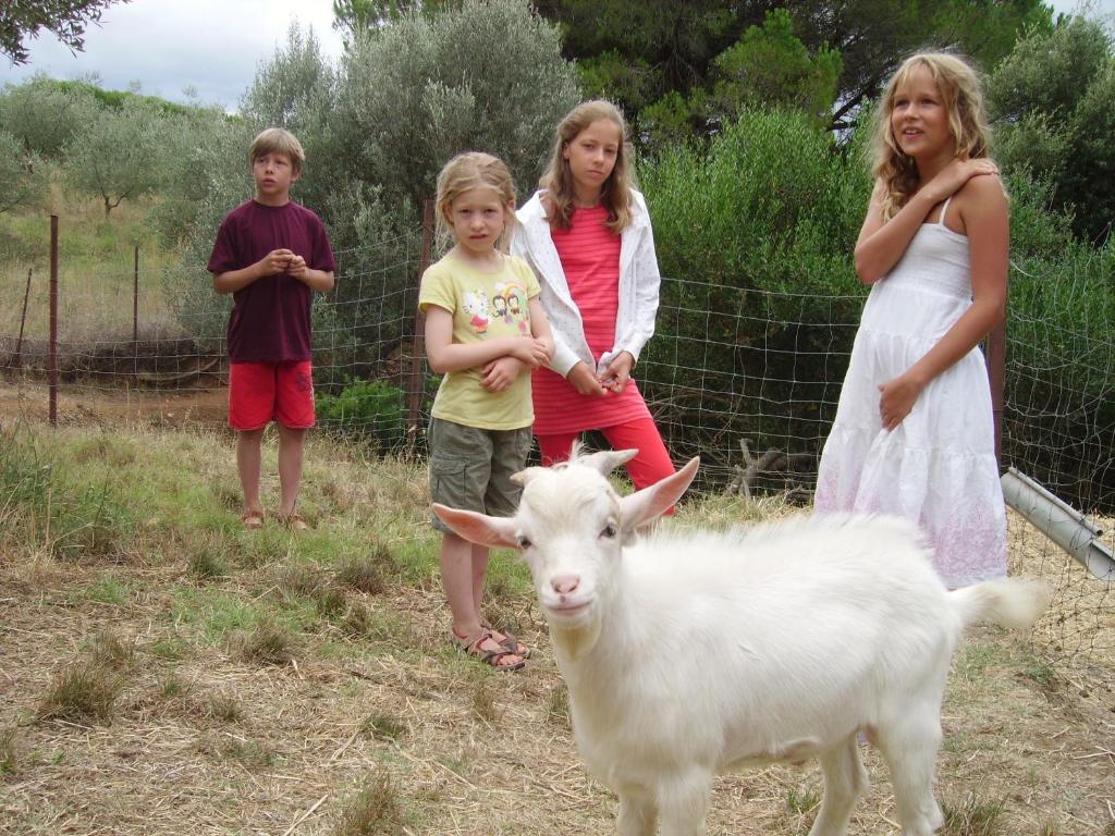 Agriturismo Le Serre Riparbella Esterno foto