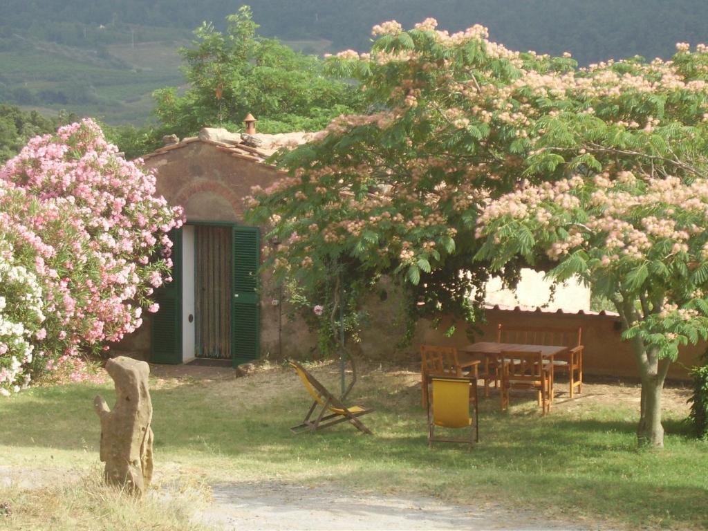 Agriturismo Le Serre Riparbella Camera foto
