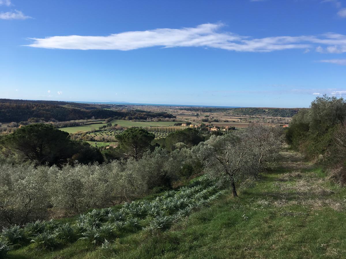 Agriturismo Le Serre Riparbella Esterno foto